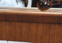 Obrázek: aktuality/galerie/.trashed-1772383692-img-20260127-104128.jpg