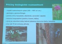 Obrázek: aktuality/galerie/1000057652.jpg