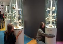 Obrázek: aktuality/galerie/1000060437.jpg