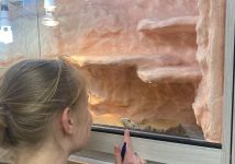 Obrázek: aktuality/galerie/1000061663.jpg