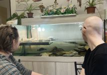 Obrázek: aktuality/galerie/1000061669.jpg