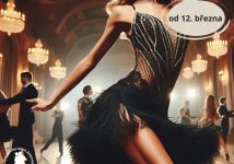 Obrázek: aktuality/galerie/63c500d2-2df0-4500-855f-43c2bb8e8acd.jpg