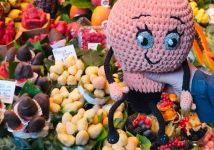 Obrázek: aktuality/galerie/655906413-1509763201157281-1459634038060667047-n.jpg