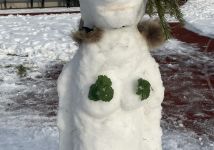 Obrázek: aktuality/galerie/img-7337-1.jpeg