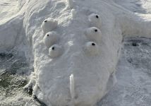 Obrázek: aktuality/galerie/img-7348.jpeg