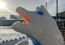 Obrázek: aktuality/galerie/img-7355.jpeg