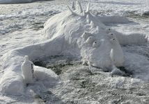 Obrázek: aktuality/galerie/img-7366-1.jpeg