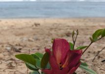 Obrázek: aktuality/galerie/whatsapp-image-2025-12-12-at-14.57.29-10-.jpeg