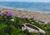 Obrázek: aktuality/galerie/whatsapp-image-2025-12-12-at-14.57.29-11-.jpg