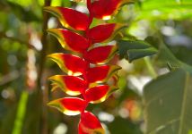 Obrázek: aktuality/galerie/whatsapp-image-2025-12-12-at-14.57.29-6-.jpeg