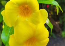 Obrázek: aktuality/galerie/whatsapp-image-2025-12-12-at-14.57.29-7-.jpg