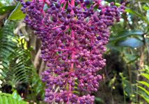 Obrázek: aktuality/galerie/whatsapp-image-2025-12-12-at-14.57.29-8-.jpeg