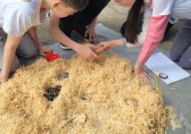 Obrázek: pages/galerie/1000023726.jpg