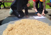 Obrázek: pages/galerie/20250527-103314.jpg