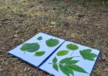 Obrázek: pages/galerie/20250527-103442.jpg