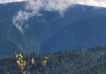 Obrázek: pages/galerie/20250911-105453.jpg