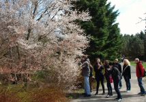 Obrázek: pages/galerie/arboretum-novy-dvur.jpg