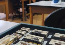 Obrázek: pages/galerie/img-20260127-114721.jpg