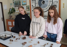 Obrázek: pages/galerie/shared-image-17-.png