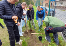 Obrázek: pages/galerie/shared-image-22-.png