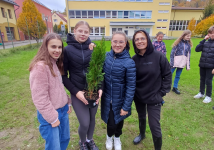 Obrázek: pages/galerie/shared-image-27-.png