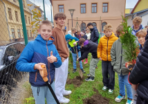 Obrázek: pages/galerie/shared-image-29-.png