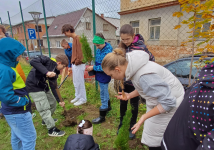 Obrázek: pages/galerie/shared-image-30-.png