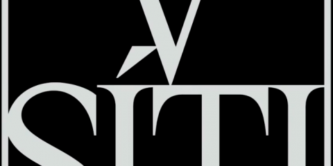 Obrázek: aktuality/v-siti-logo.png