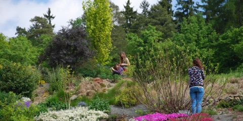 Obrázek: pages/arboretum-macu-pikcu-2-.jpg