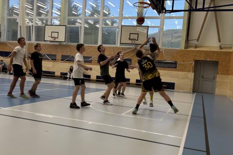 Obrázek: pages/media-2025-06-26t073905.762-1-.jpg